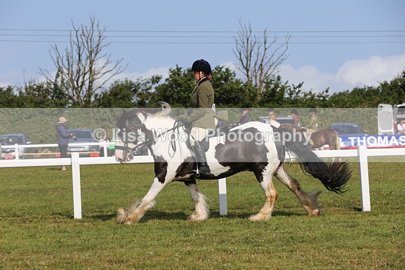 1X9A3369 - Class 28: Ridden Native/Trad Coloured Pony