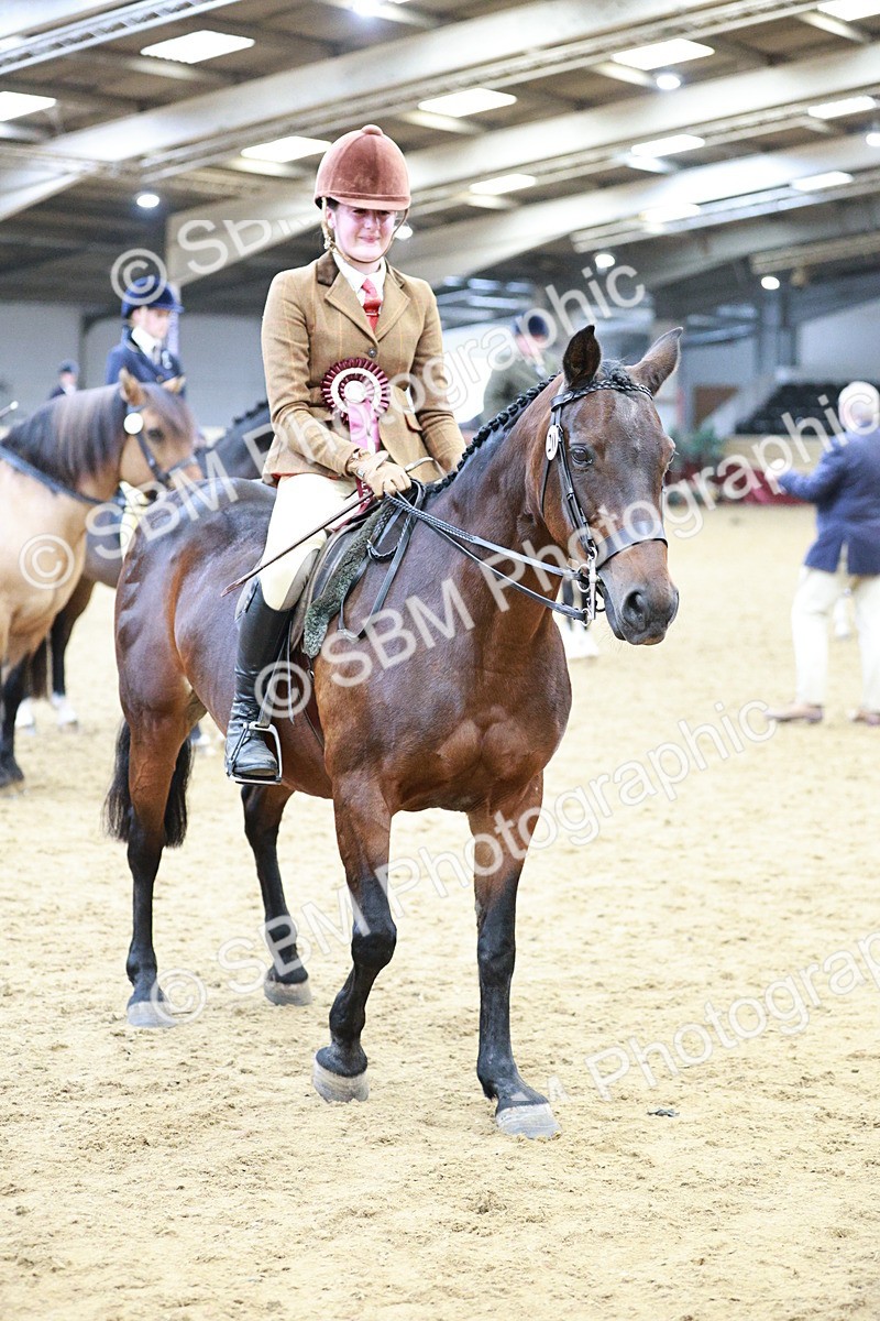 SBM_08344 - Class 11R - Regional Ridden Veteran