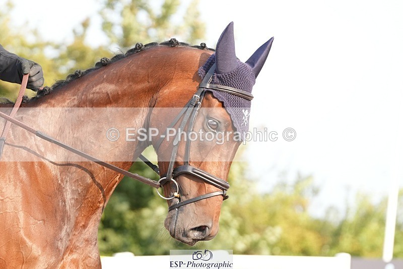 250817-090229-07432 - 165-Jack.StancombeFastnet.Rock