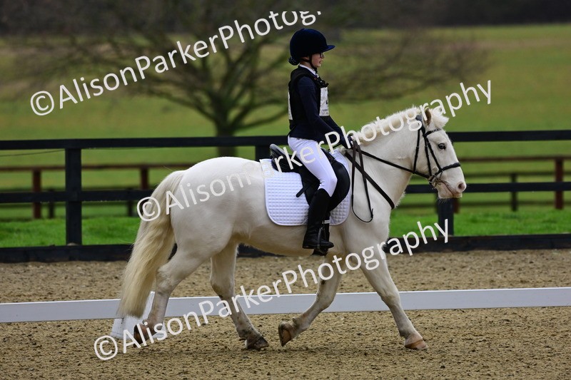 20260125-0578 - Class 9b - Walk Trot Unassisted