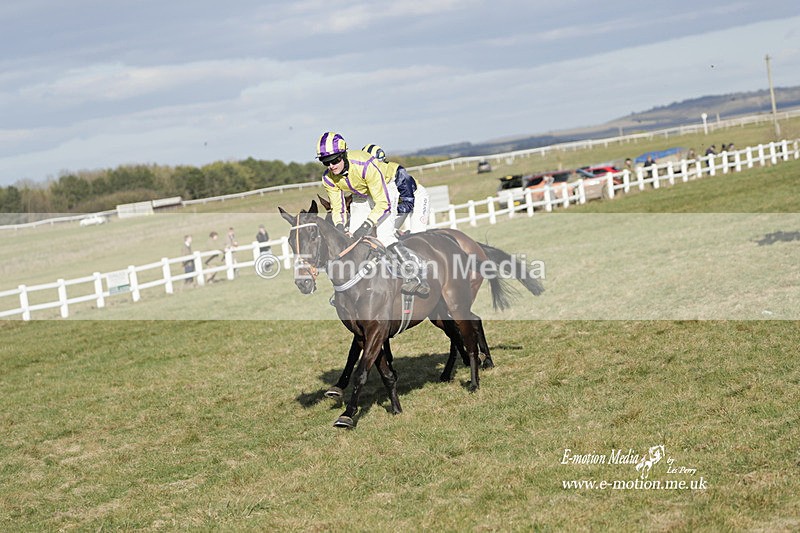 PtP 260223 1215 - South & West Wilts Point-to-Point Larkhill 26/02/23