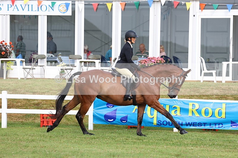 3E7A8140 - Class 2: Rising Star Large Hack/Riding Horse