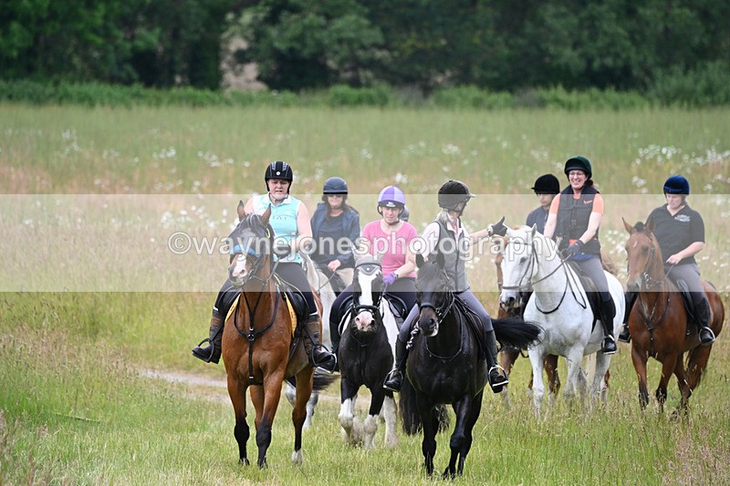 WJ6_8357 - Camera 1 Gallops