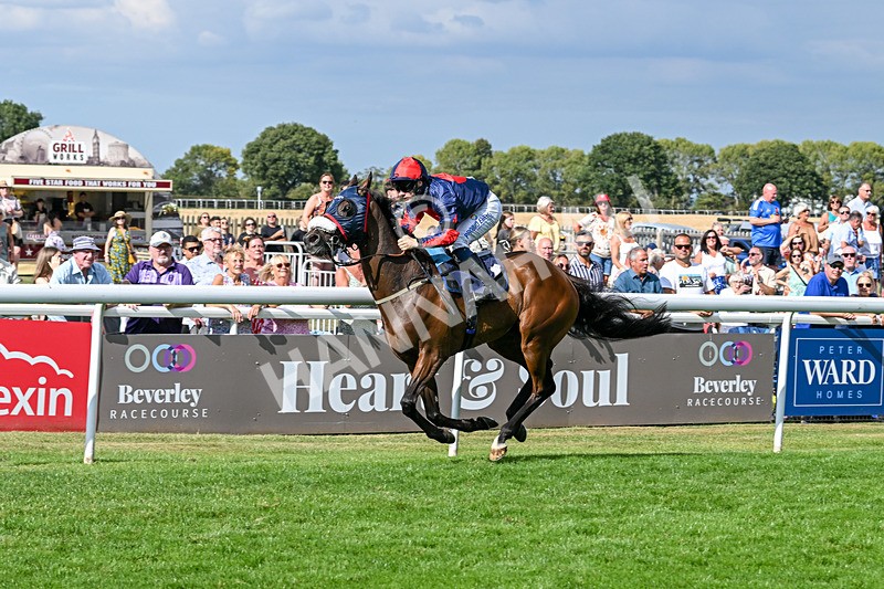 140825-Race 5-Chillhi-1533 - Race 5