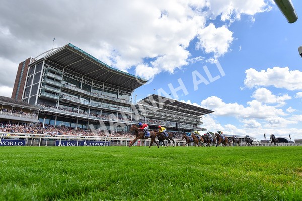 280625-Race 1-Archivist-5134 - Race 1 1.55pm Al Basti Equiworld Dubai Mile Handicap