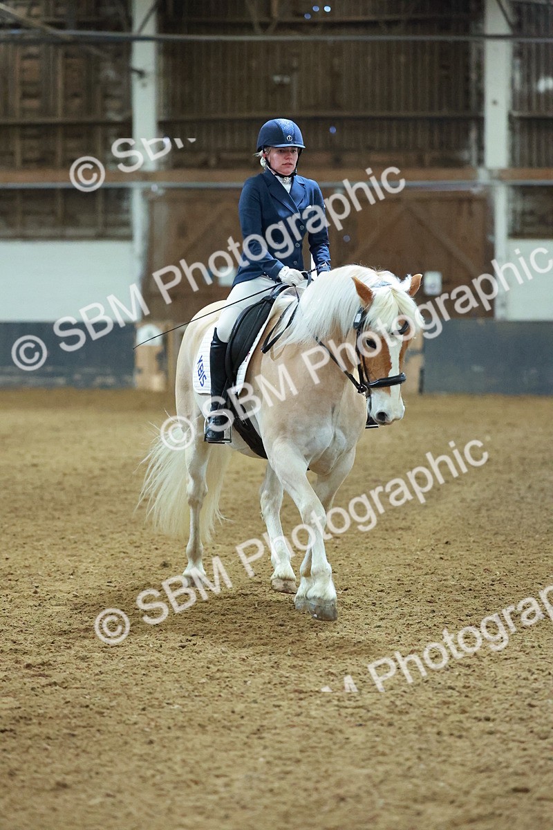 SBM_003919 - Novice 2