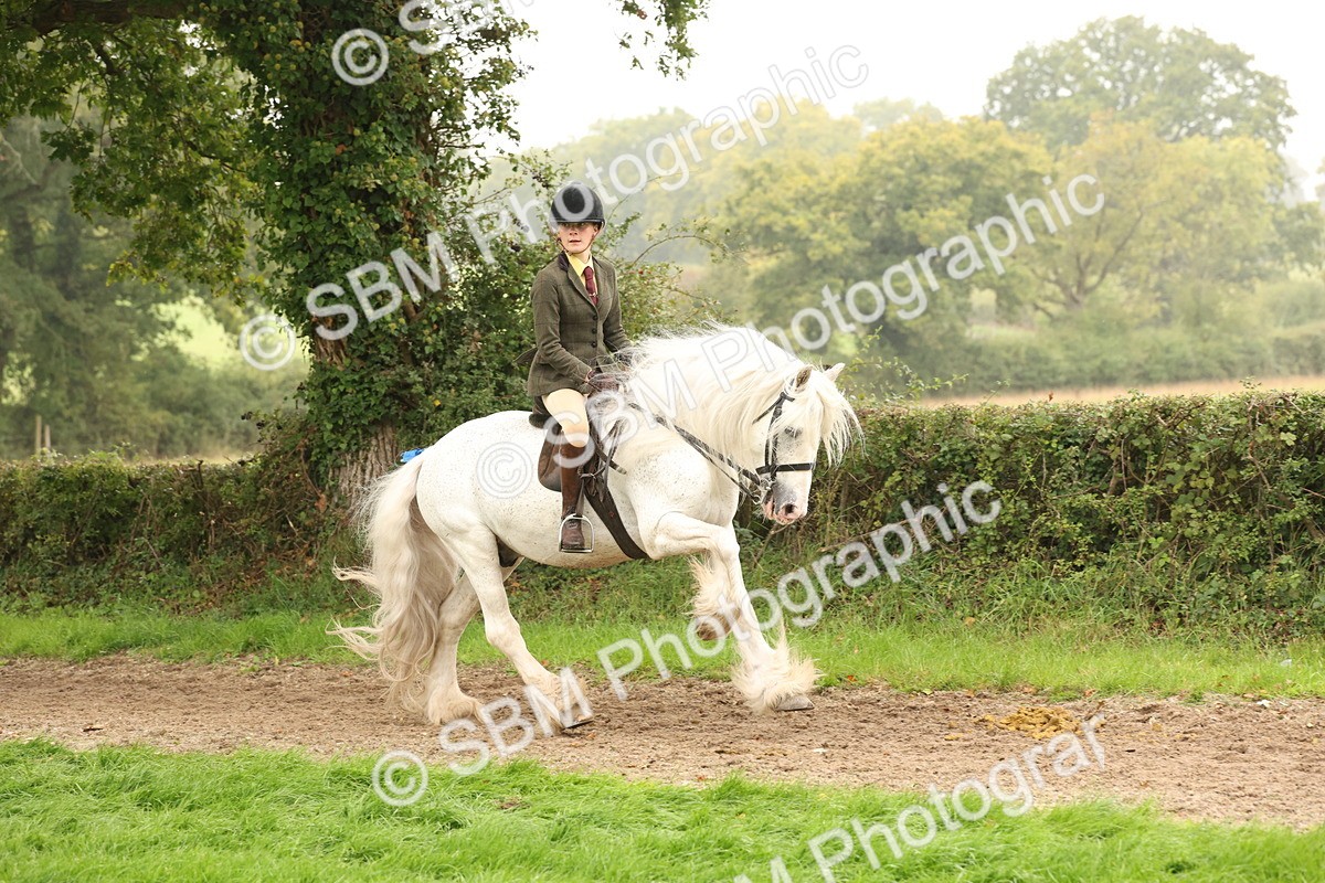 SBM_72701 - S70 - Traditional Cob Ridden