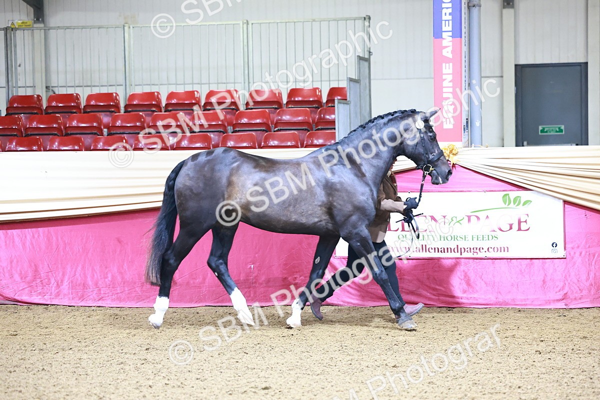 SBM_21661 - Class 901 - Supreme Final - IH  Diamond