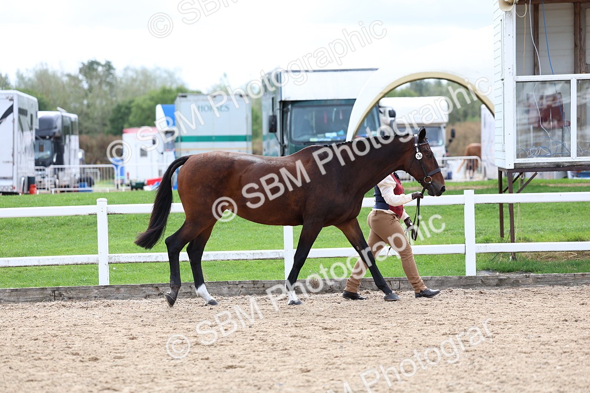 SBM_03897 - Class 25 - IH Foreign Breeds - Pure Bred