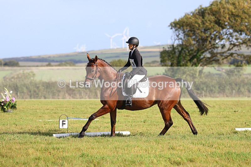 3E7A5698 - Class 1: Trebudannon Open: Dressage