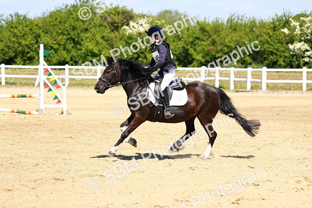 SBM_007475 - Class 3 - 60cm