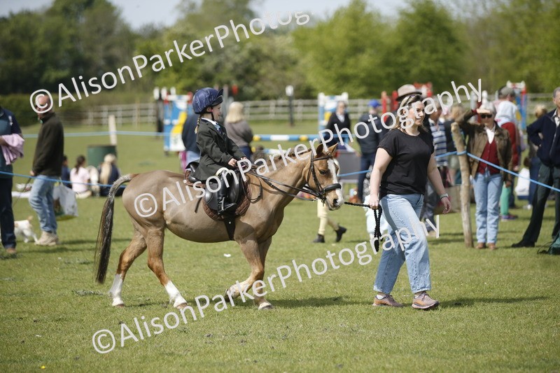 20260426-1816 - Class 7 - Pony Judge Would Most Like To Take Home