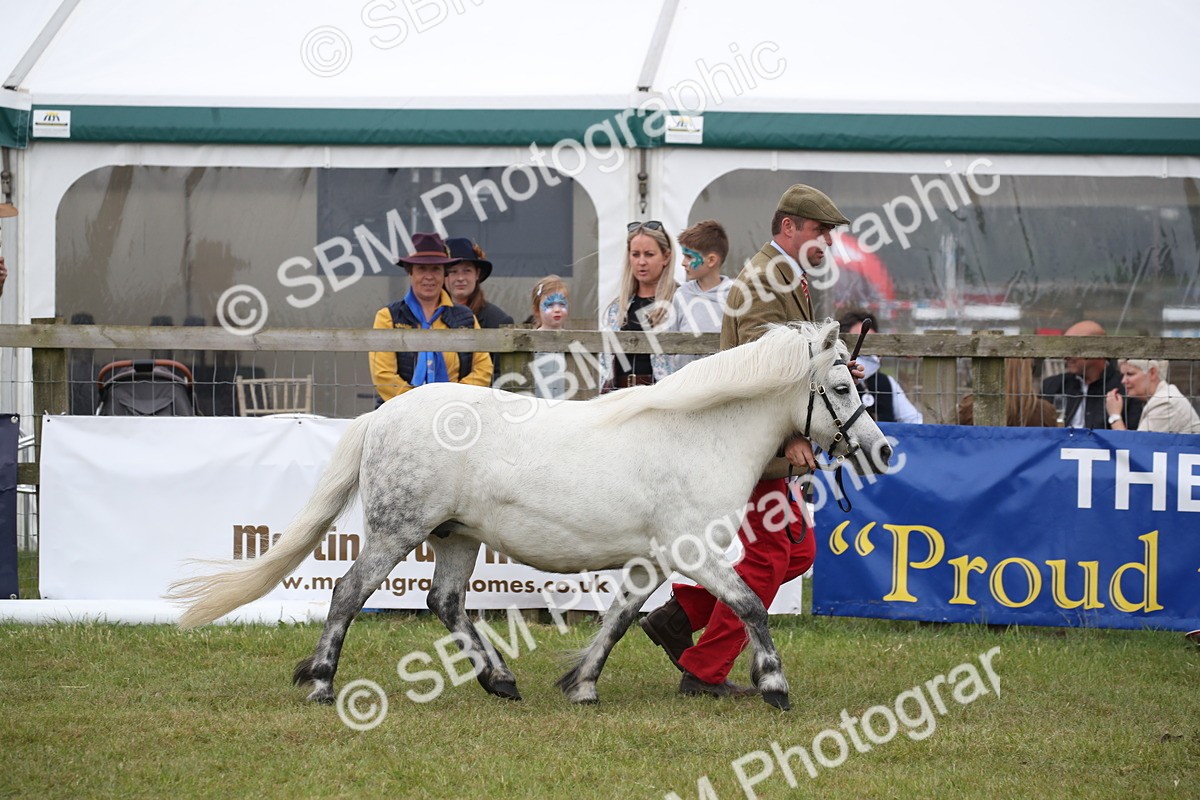 SBM_09756 - Ch 50 - Price Family Supreme In Hand