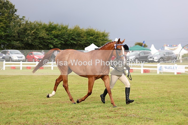 3E7A7901 - Class 1: Rising Star Small Hack/Riding Horses