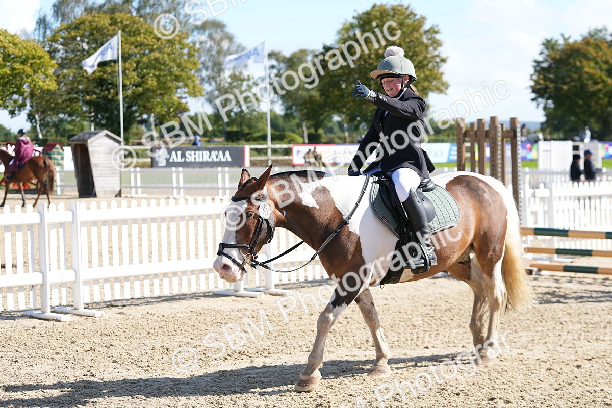 SBM_44438 - J7 - Junior Pony 60cm Championship