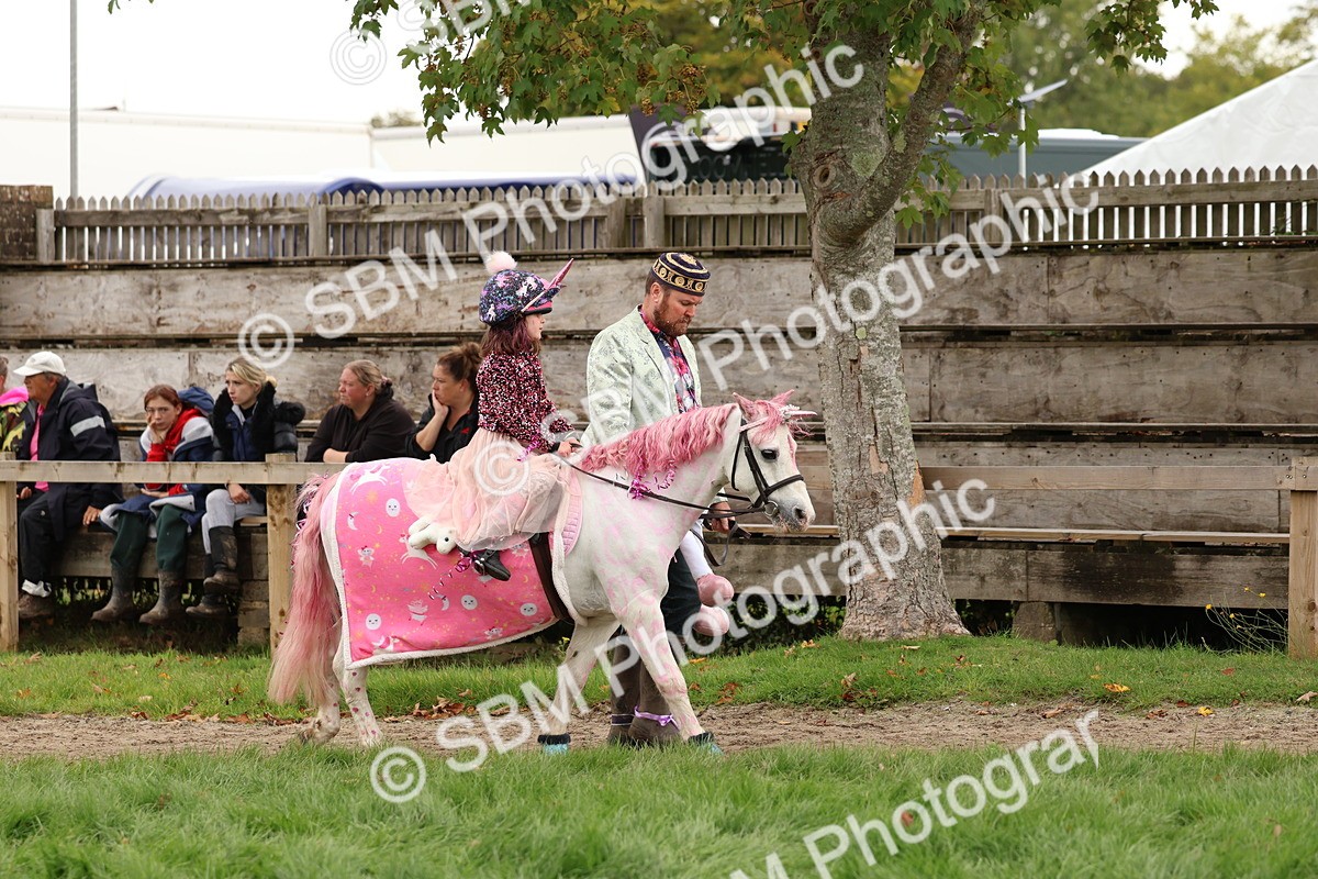 SBM_62149 - S37b - Best Unicorn