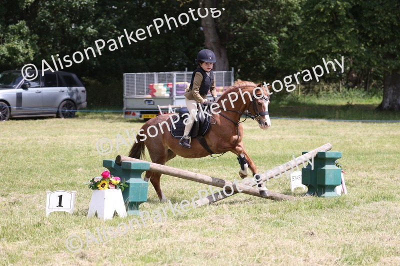 20260614-1994 - Class 21 - Novice Working Hunter Pony