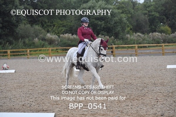 BPP_0541 - MFS PRELIM & NOV