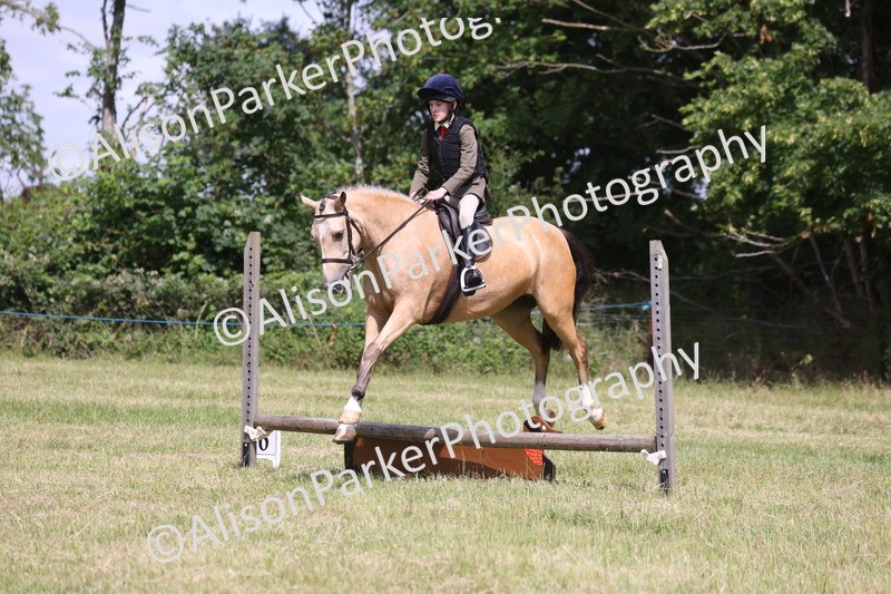 20260614-1782 - Class 21 - Novice Working Hunter Pony