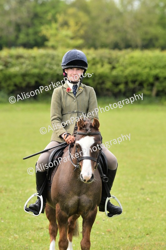 20260426-2430 - Class 21 - Working Hunter Ponies