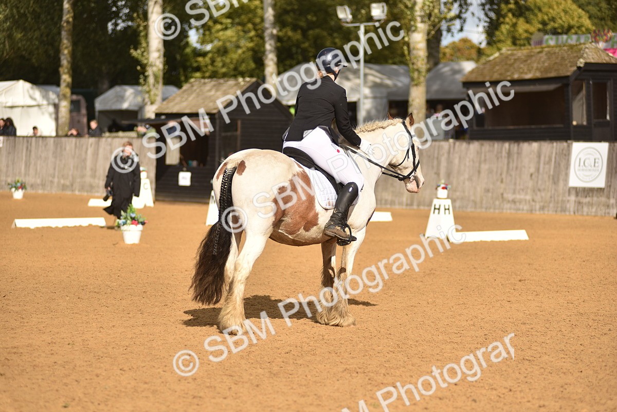 SBM_48879 - D22 - Junior Championship Intro 3