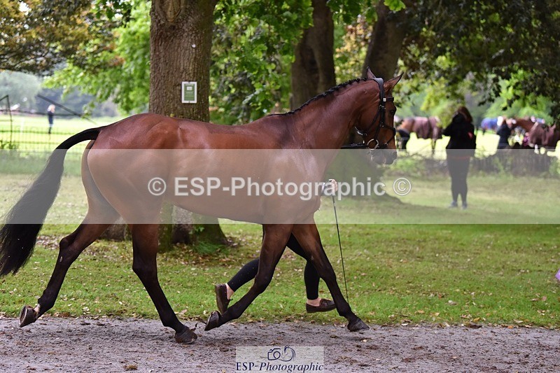 240522-165330-01232 - 276-FOURFIELDS_WONDER_WOMAN-Heidi_Coy