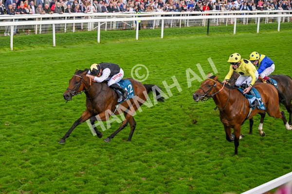 230824-Race 7-Treasure Time-0190 - Race 7 5.20pm Sky Bet Mile Handicap