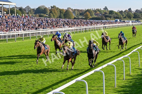 111025-Race 5-Morshdi-0541 - Race 5 Coral 'We're Here For It' EBF Maiden Stakes at York