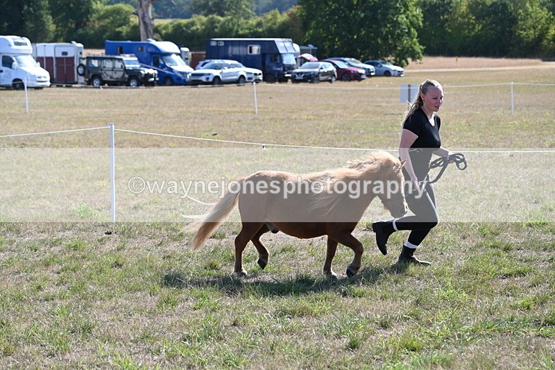 WJ6_7282 - Class 33 Rescue Pony