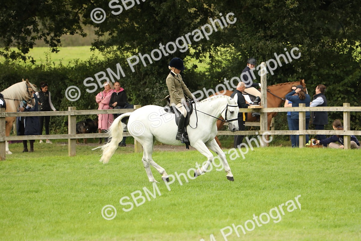 SBM_71681 - S41 - Ridden Equitation (Best Rider)