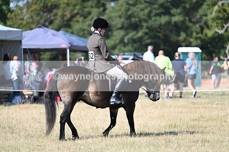 WJ7_3114 - Class 8 Ridden Tack & Turnout