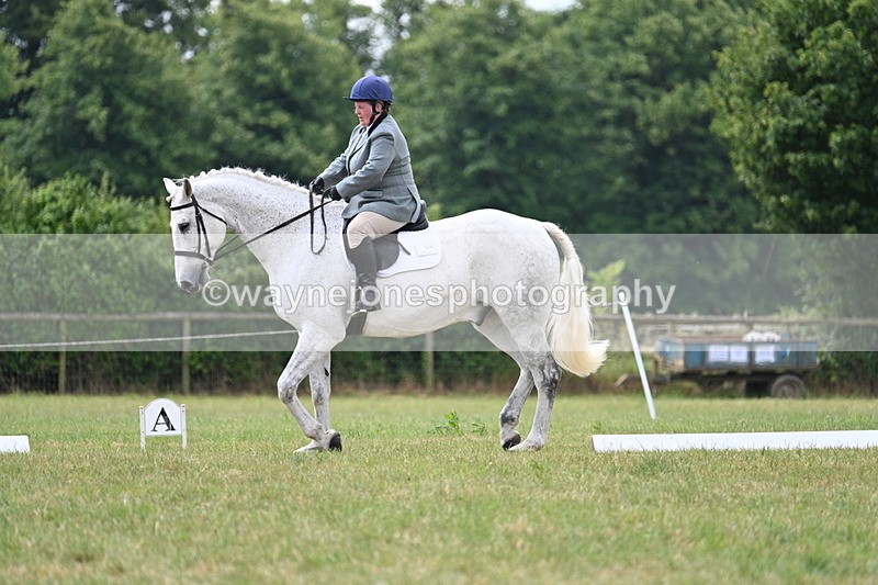 WJ7_5012 - Time 11:22 to 11:51