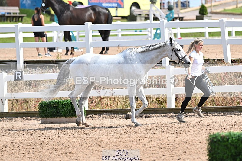 240717A-155955-03250 - Trot Up 3pm to 4pm