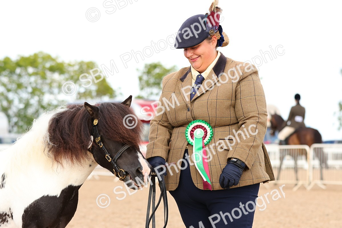 SBM_10352 - Class 206 - IH Non Show Type Pony