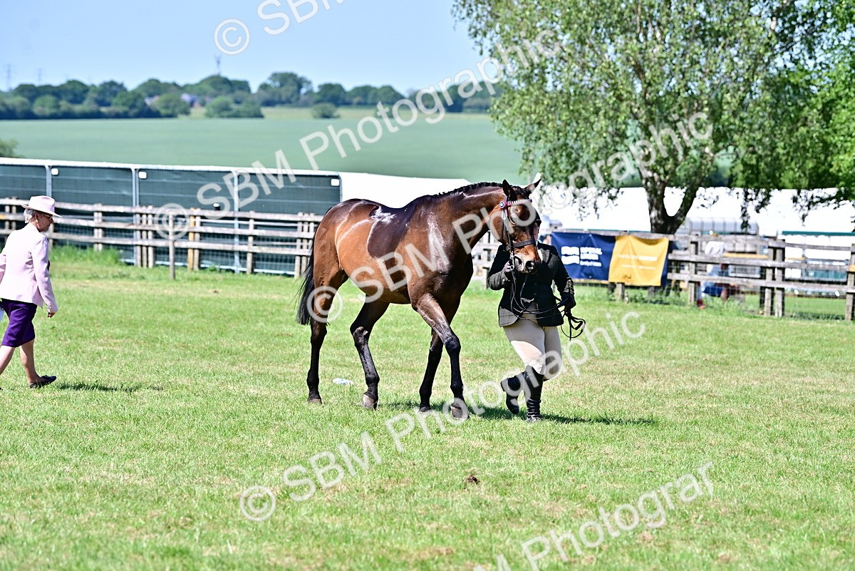 SBM_18233 - Class 99-100 - Retraining of Racehorses Ridden