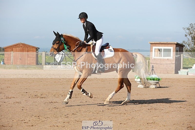 250427-090827-14763 - Cls 28 Young Horse 5yr old