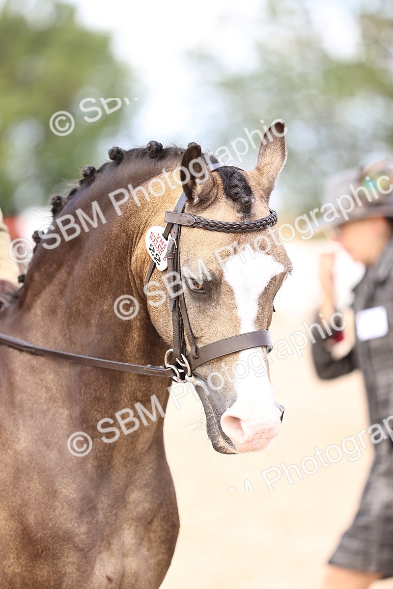 SBM_12846 - Class 409 - Grassroots Ridden - Pony