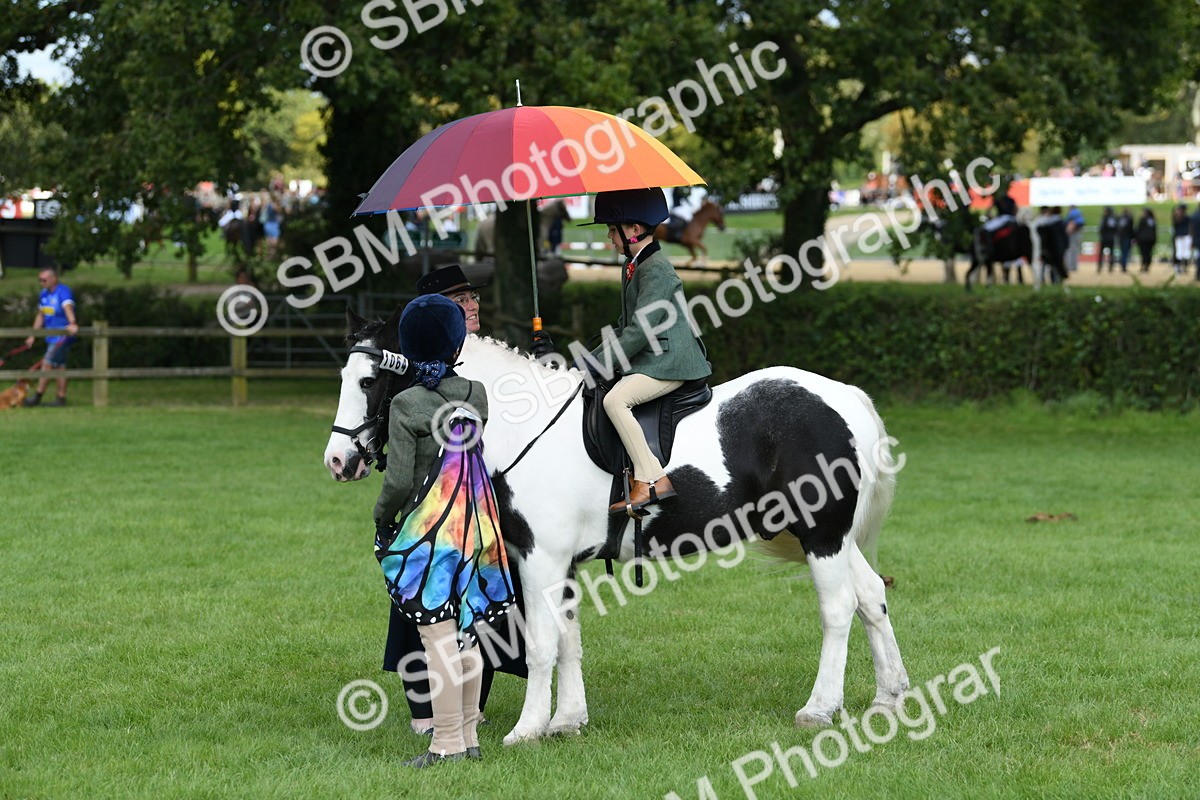 SBM_47000 - S12 - Family Horse & Pony