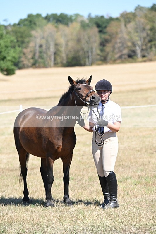 WJ6_8664 - Class 37b Best Loan Pony In-hand