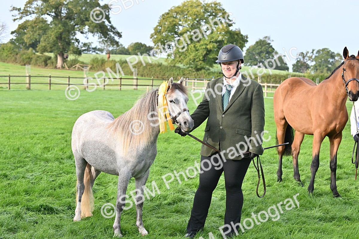 SBM_55401 - S44 - Youngstock In Hand
