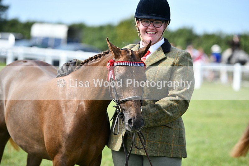 DSC_8405 - Class 68: Part Bred In Hand M & M