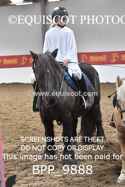 BPP_9888 - CLASS 1 CROSSPOLES