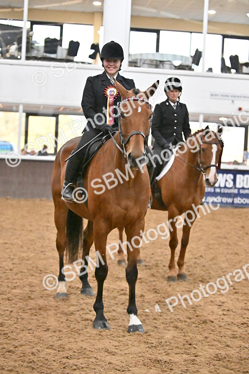SBM_003050 - Class 37,38 - UKPSAF Performance Horse & Pony