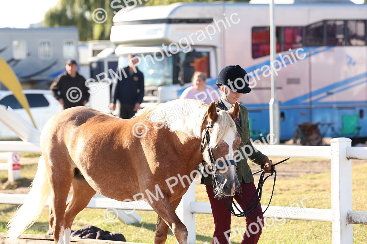 SBM_10764 - Class 201 - Best Turned Out - IH