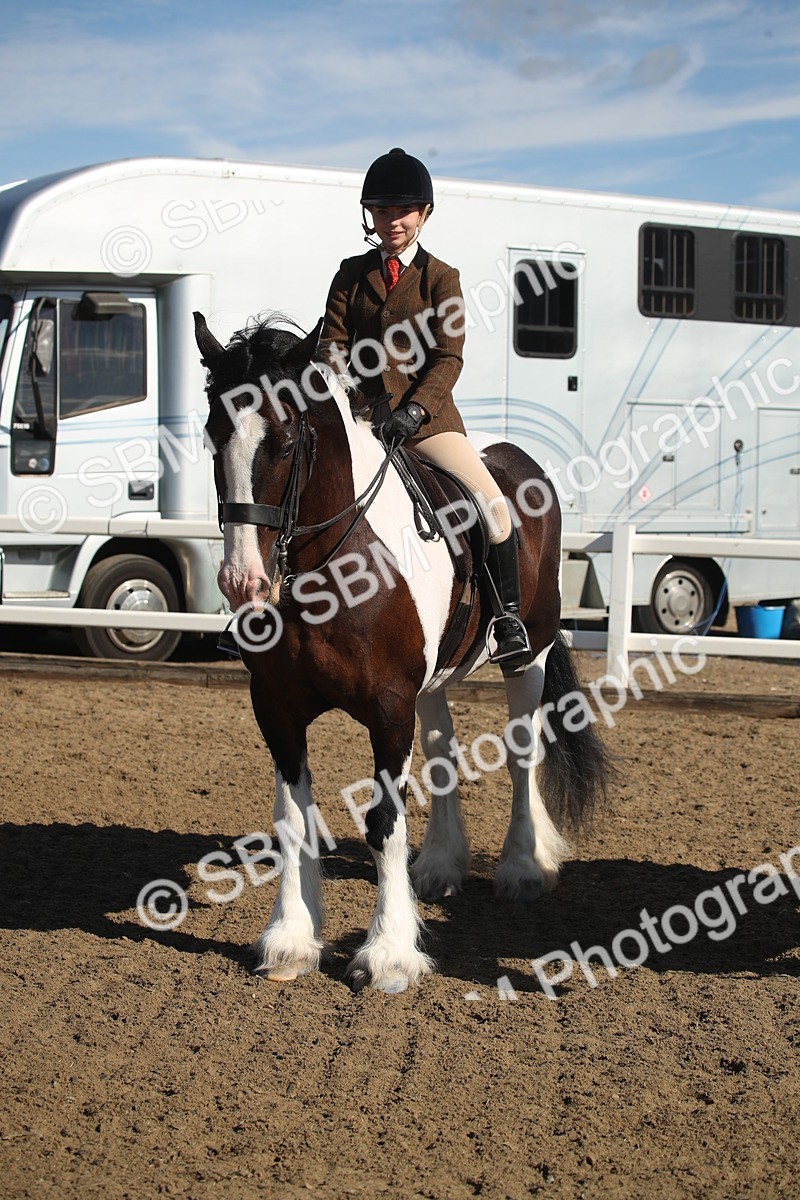 SBM_12767 - Class 504b - Junior Working Veteran - 40cm (20+)