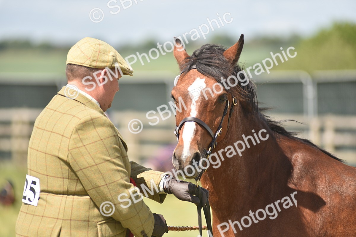 SBM_16119 - Class 117-122 - SSADL RIHS Qualifier