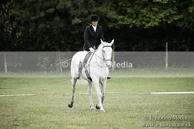 BVR080918 269 - BVRC Novice Dressage & CR 08/09/18