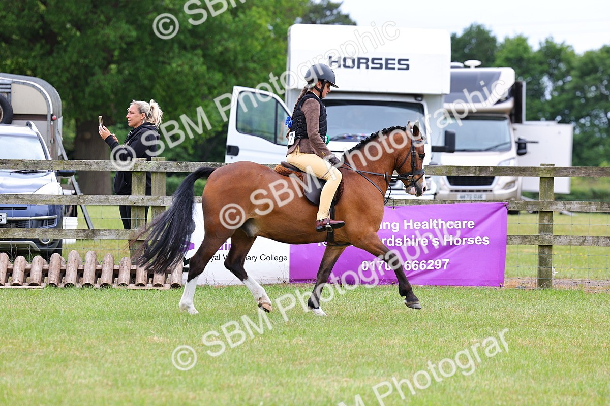 SBM_09690 - Class 44-45 - LIHS BSPS Open Nursery and Cradle Stakes