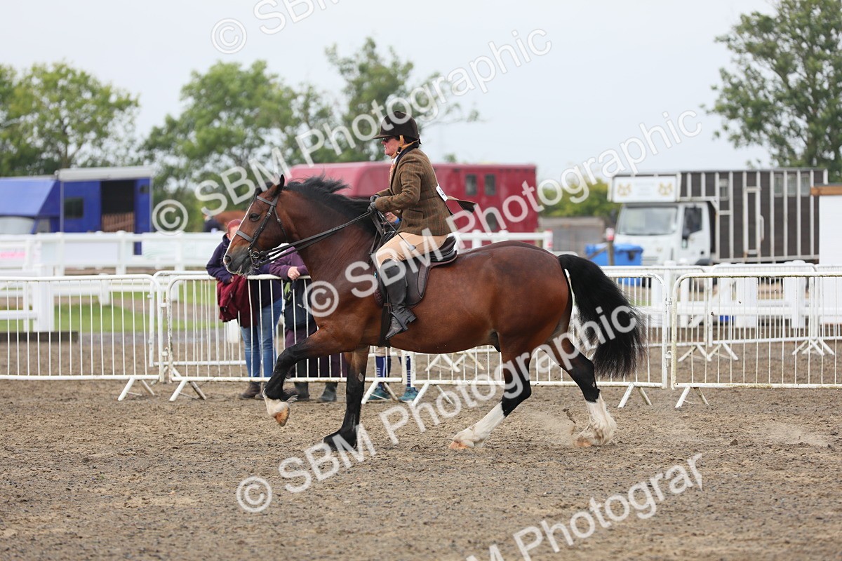 SBM_21375 - Class 805 - Ridden Veteran Horse