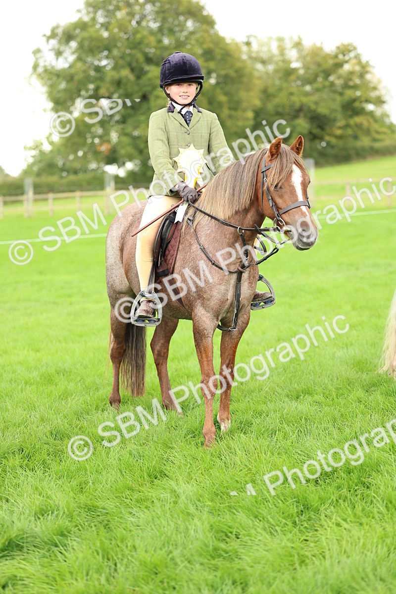 SBM_41906 - S32 - Mountain & Moorland Working Hunter Pony